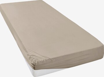 MY HOME Bed Sheet in Beige: front