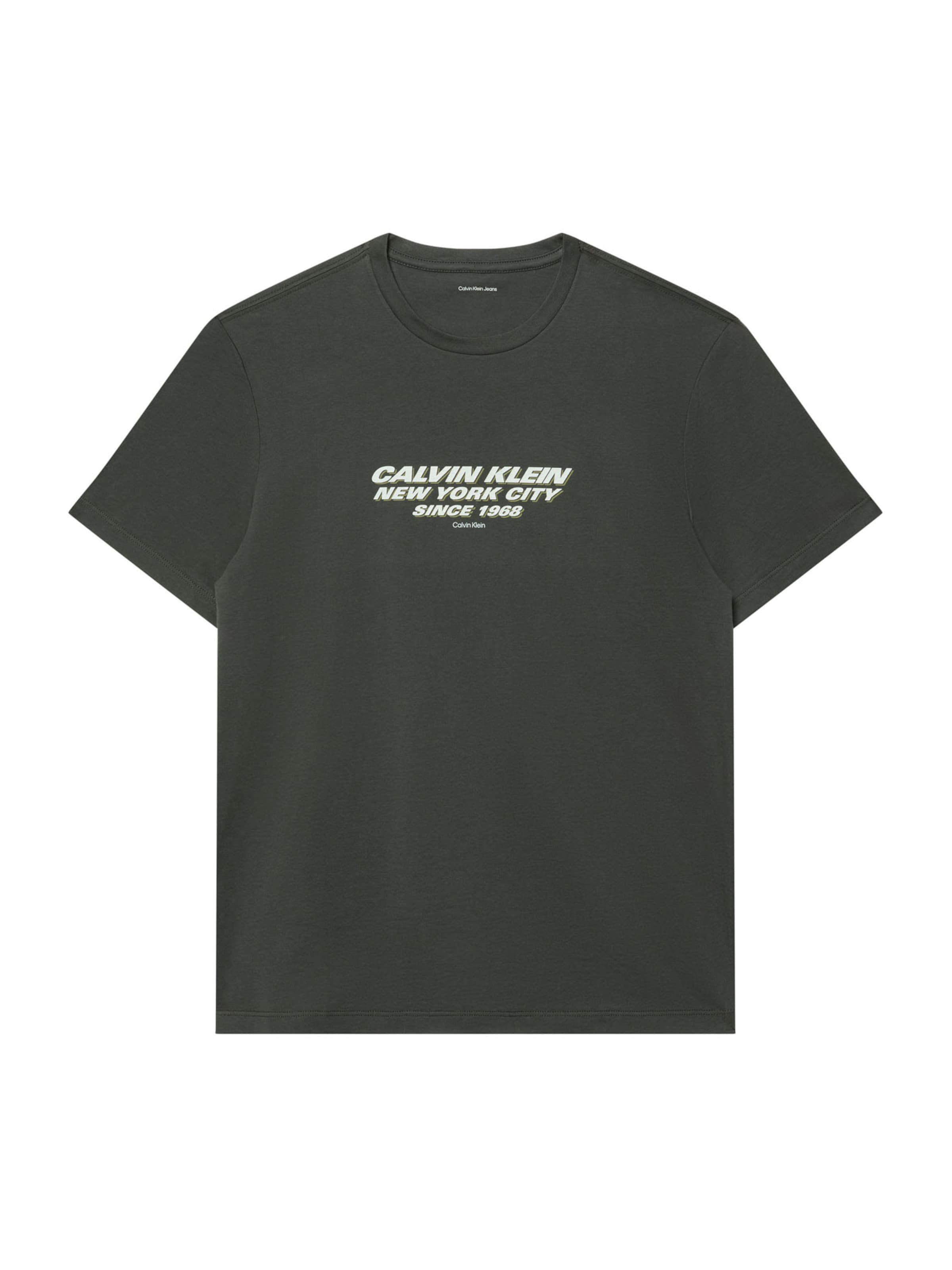 Calvin Klein T-Shirt in grau / weiß, Produktansicht