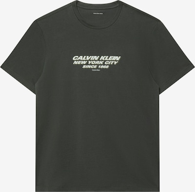 Marškinėliai iš Calvin Klein, spalva – pilka / balta, Prekių apžvalga