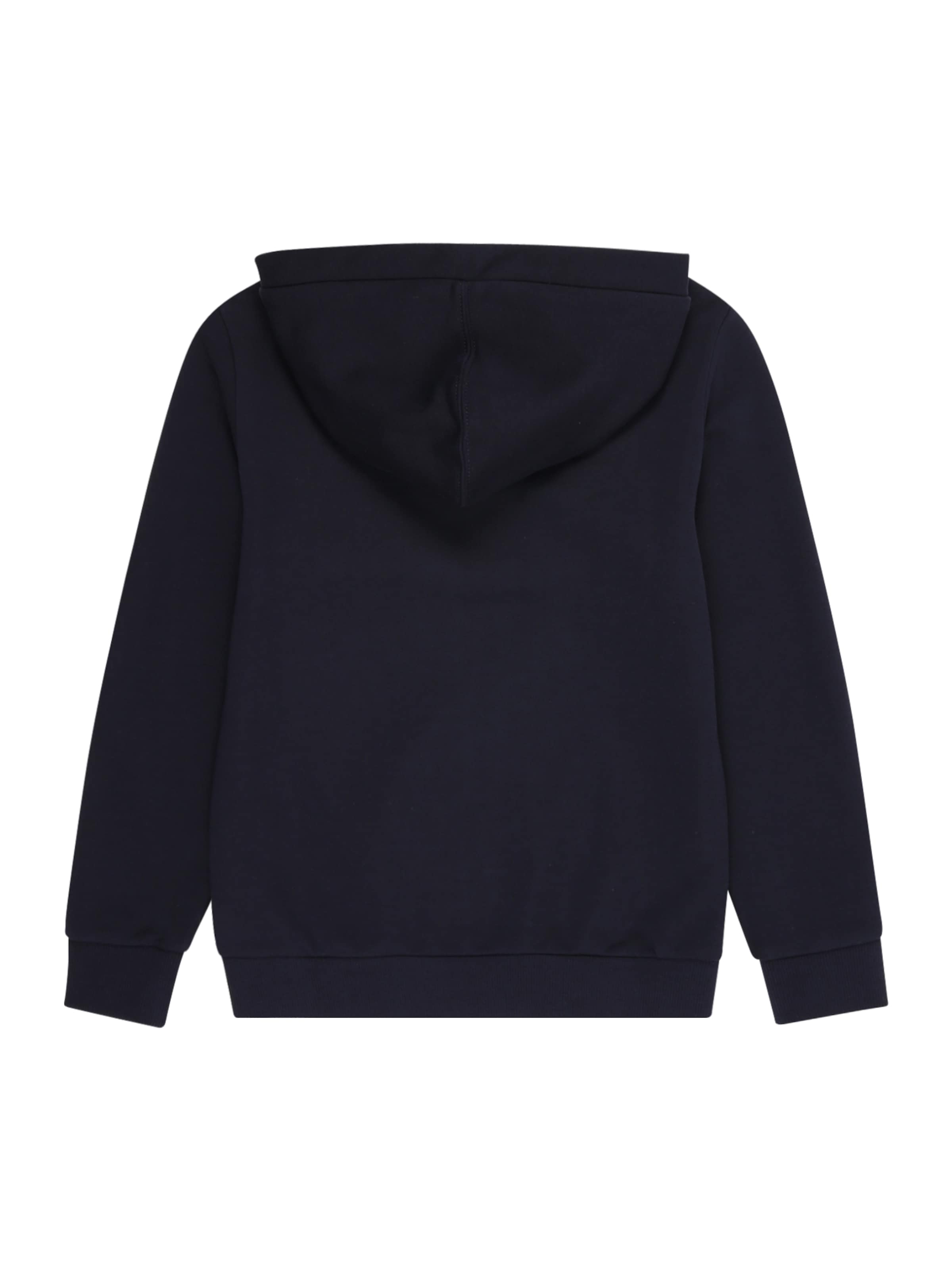 NAPAPIJRISweater majica 'Burgee' - plava boja