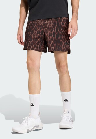 ADIDAS PERFORMANCE Regular Sportshorts 'D4T Power' in Braun: Vorderseite