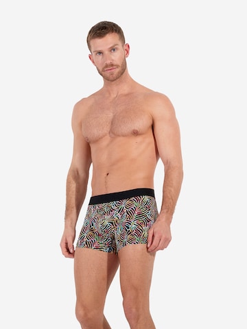 Boxers ' Reveries Boxer Briefs ' HOM en mélange de couleurs