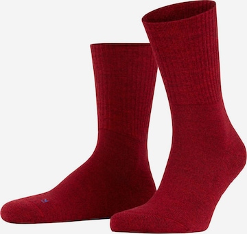 Calzino sportivo di FALKE in rosso: frontale