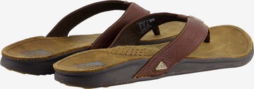 Claquettes / Tongs ' J-Bay III ' REEF en marron