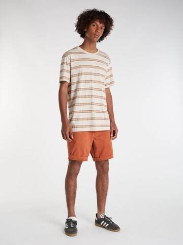 PROTEST Regular Hose 'PRTBASTIAN' in Braun