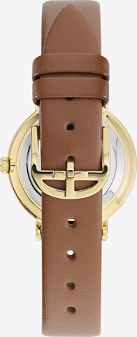 Ted Baker Analoog horloge 'PHYLIPA FASHION' in Bruin