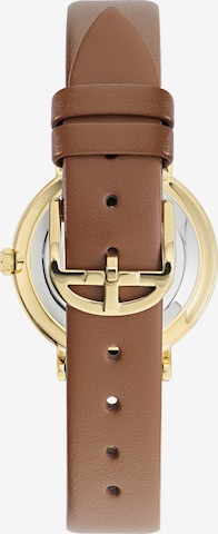 Ted Baker Analog Watch 'PHYLIPA FASHION' in Brown