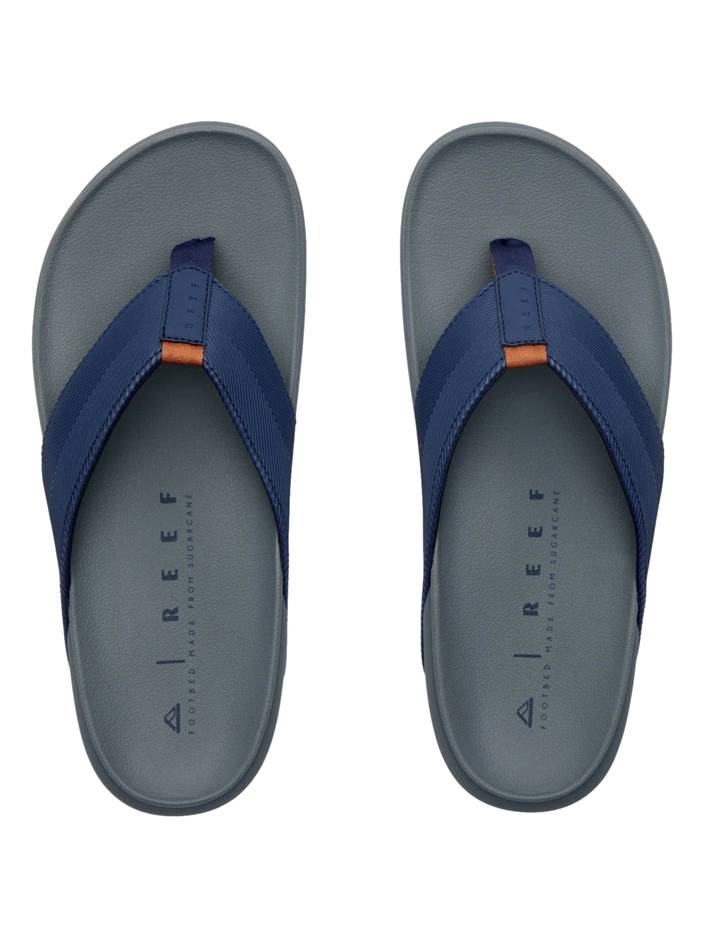 REEF T-bar sandals 'The Raglan' in Blue