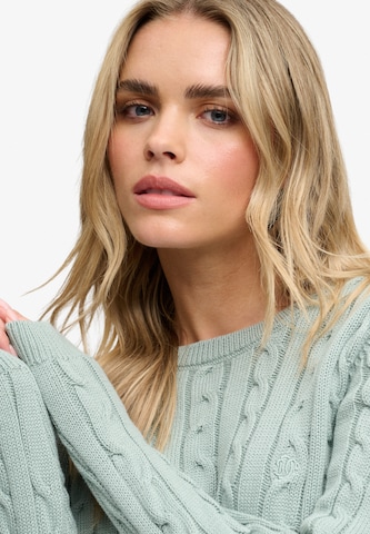 Pull-over 'Essentials' Superdry & Co en vert