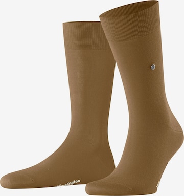 BURLINGTON Socken 'Lord' in Braun: Vorderseite