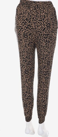 Chicorée Jogger-Pants S in Braun