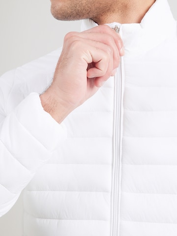 balta SAVE THE DUCK Demisezoninė striukė 'ALEXANDER'