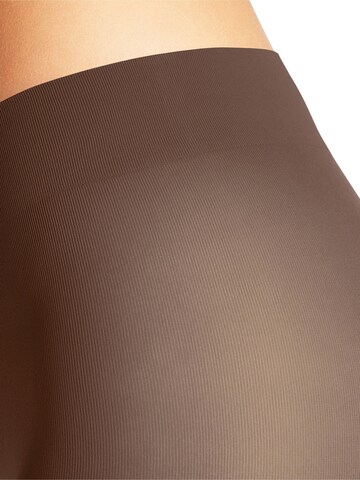 FALKE Strumpfhose 'Pure Matt'‌‌‌‌‌‌ in Braun