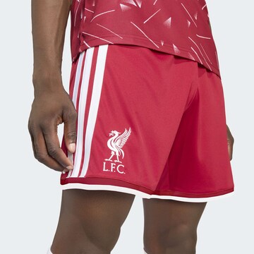 ADIDAS PERFORMANCE - regular Pantalón deportivo 'FC Liverpool 26/27' en rojo