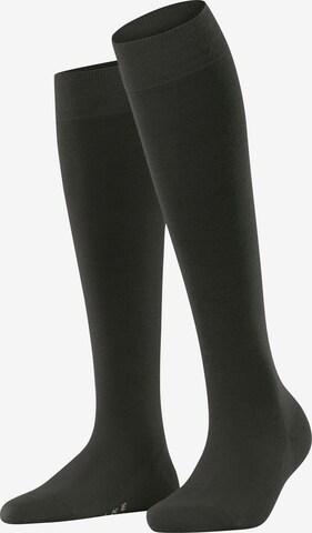FALKE Knee High Socks 'Softmerino' in Green: front