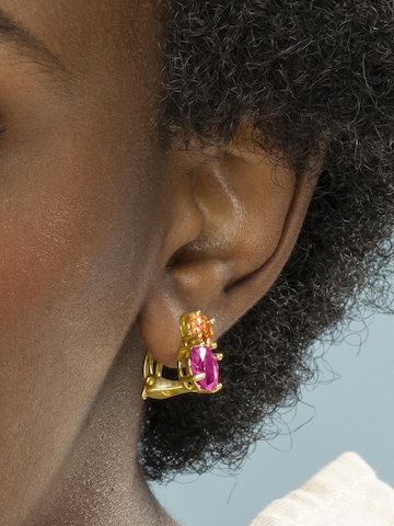 Luxenter Oorbellen 'Elsoni' in Gemengde kleuren