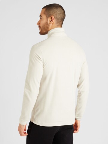 Pull-over de sport Champion Authentic Athletic Apparel en gris