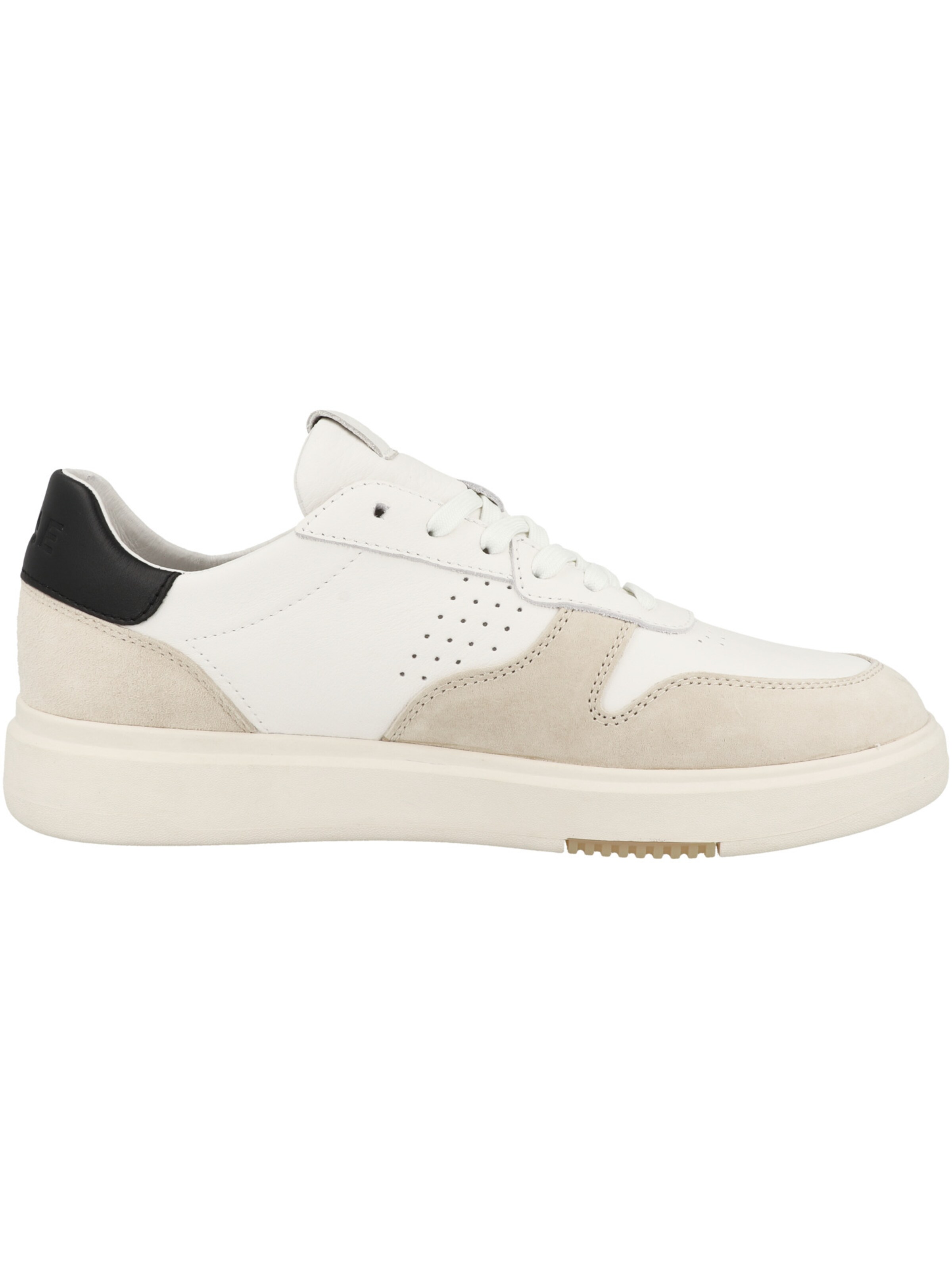 CLAE Sneaker 'Moses' in Beige