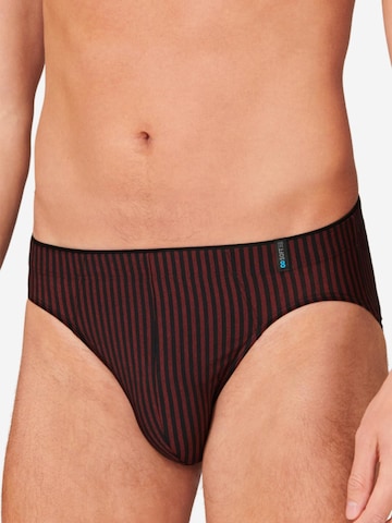 SCHIESSER Slip 'Long Life Soft' in Rood: voorkant