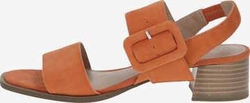 Sandalo di CAPRICE in arancione