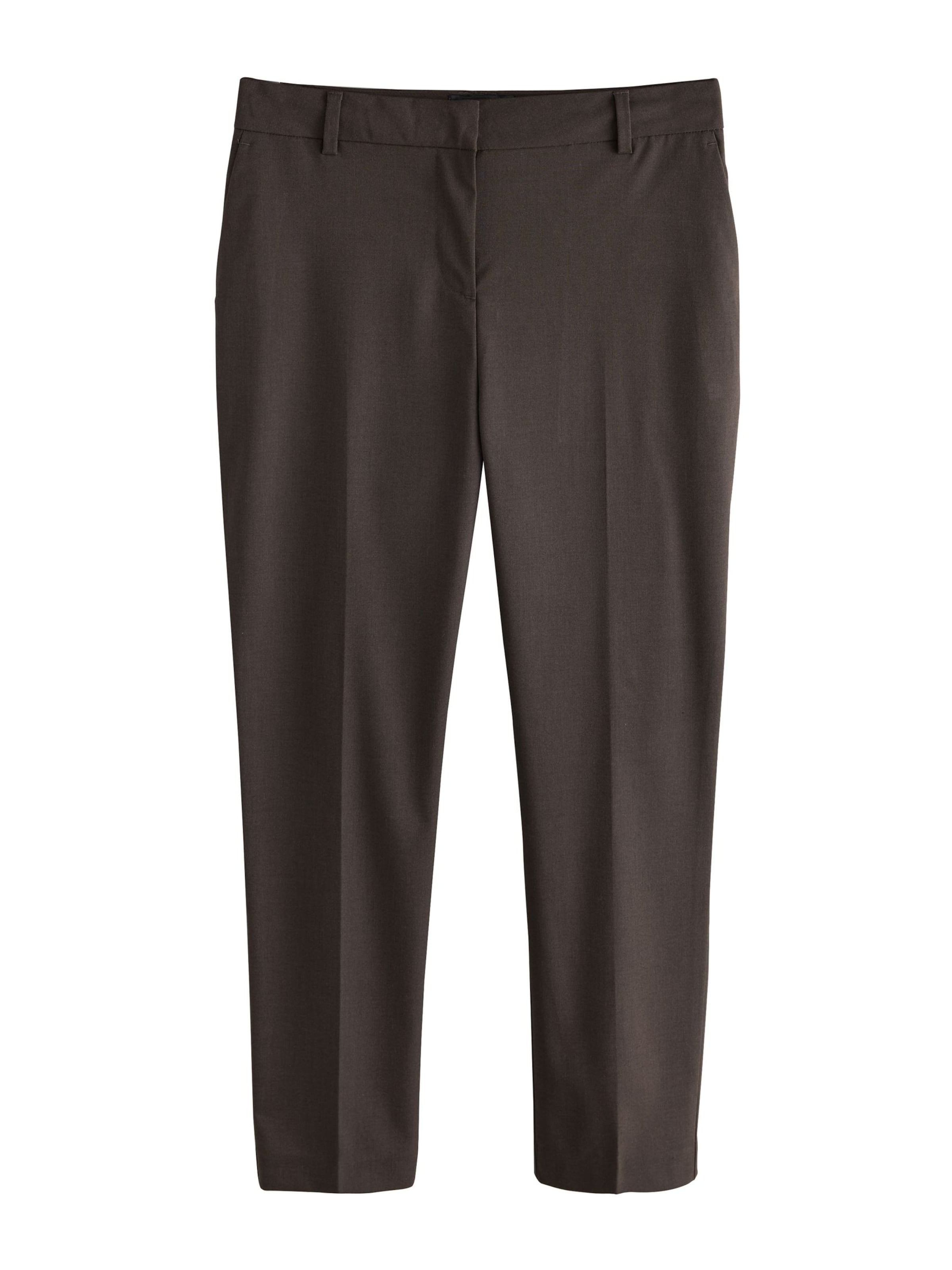 Next Pleated Pants in Brown: front