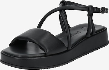 Paul Green Sandals in Black: front