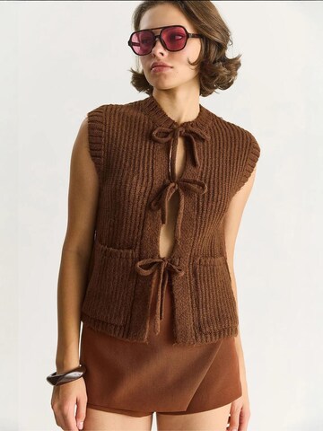 Gilet in maglia di Bianco Lucci in marrone