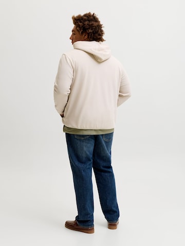 JACK & JONES Sweatshirt in Beige
