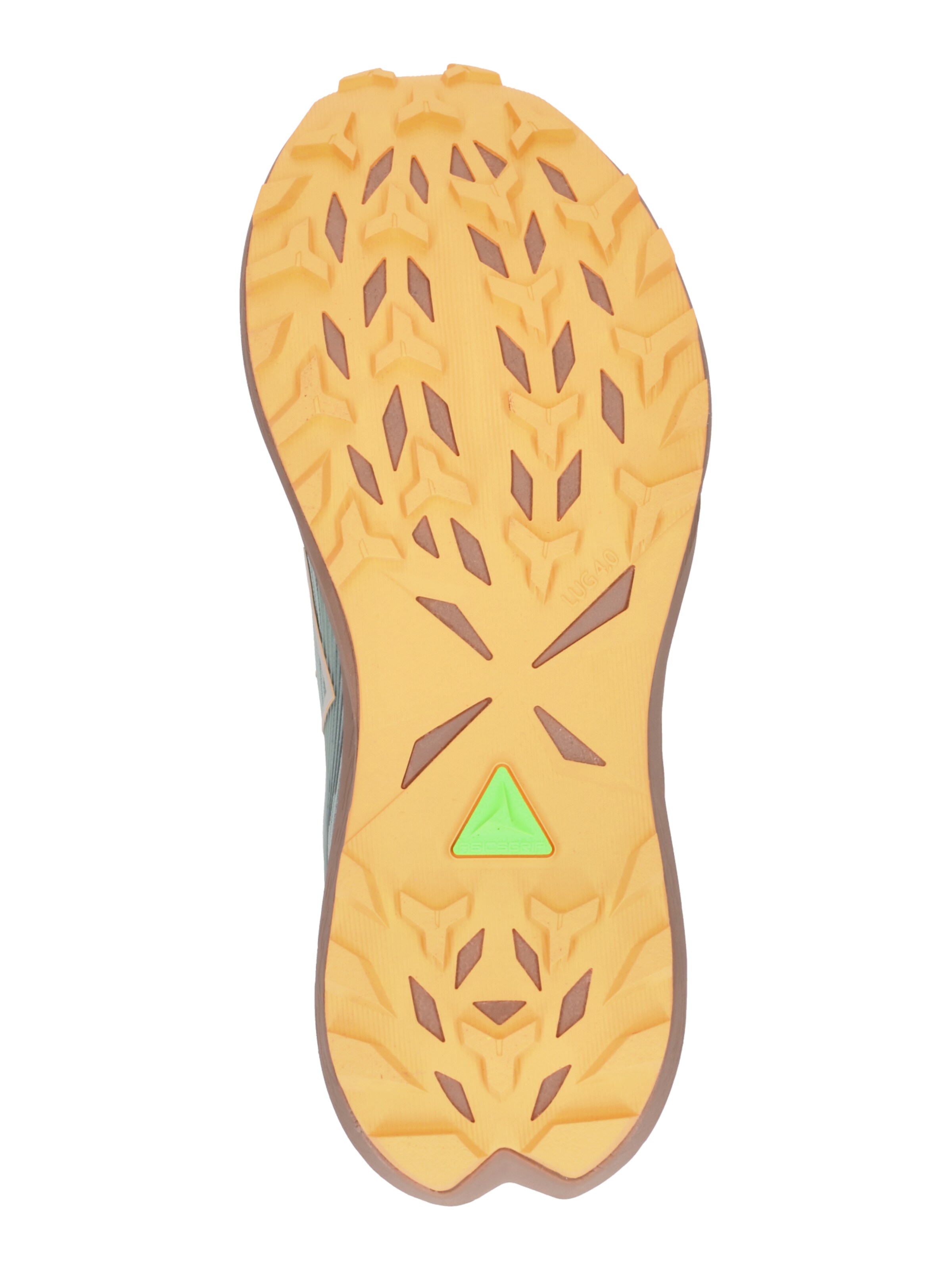 ASICS Running shoe 'Fuji Lite 6' in Green