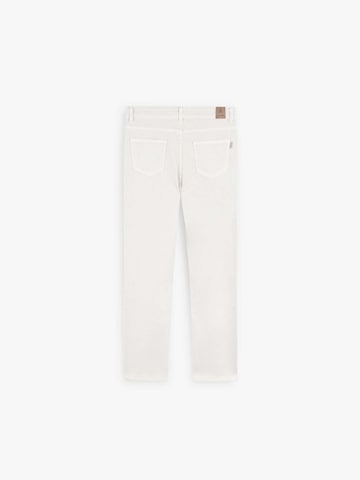 Regular Jean Scalpers en gris