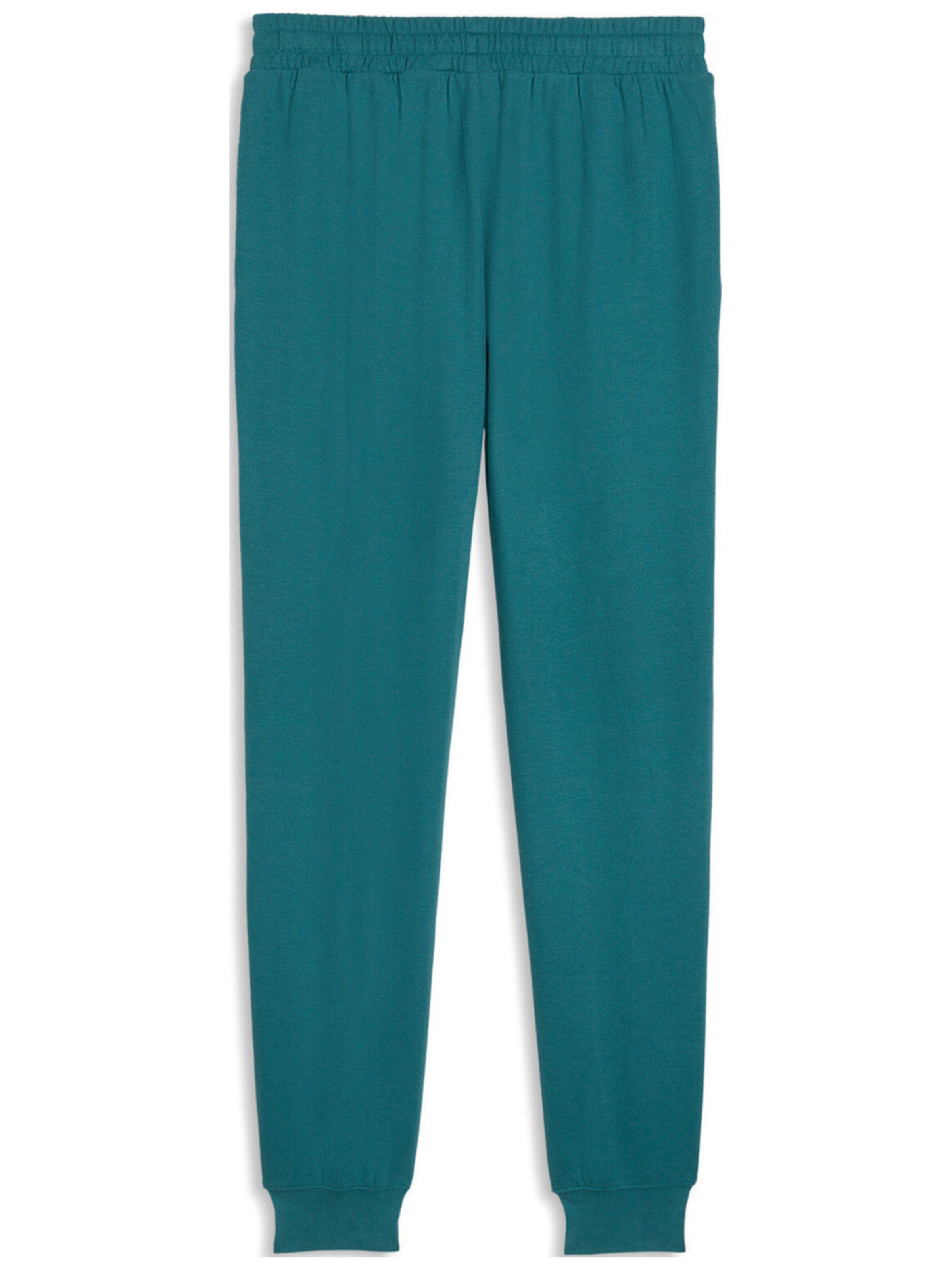 PUMA Regular Sports trousers 'Puma Ess Elevated Sweatpants Tr Cl' in Blue