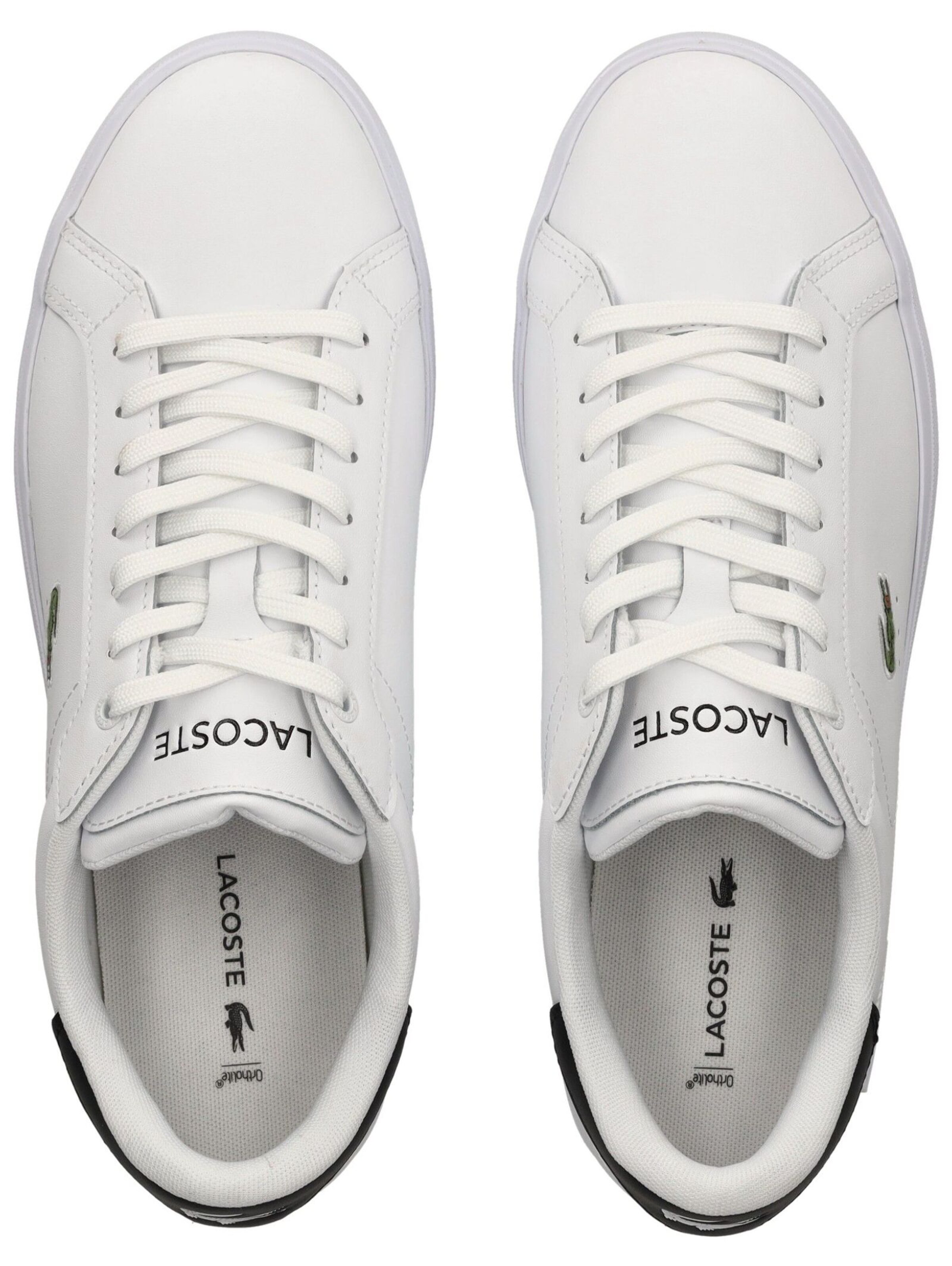 LACOSTE - Sapatilhas baixas em branco