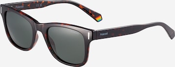 Polaroid Sunglasses in Brown: front