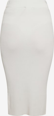 usha BLACK LABEL Skirt in White