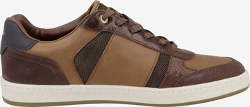 PANTOFOLA D'ORO Sneakers ' Soverato' in Brown