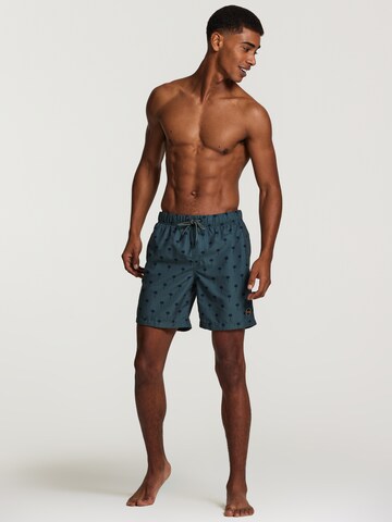 Shiwi Swimming shorts in Green
