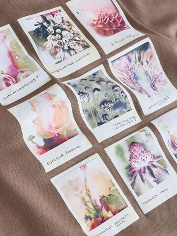 Felpa 'Polaroids Picturesque' di Next in marrone