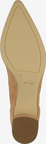 Högl Pumps 'PRESTIGE' in Braun