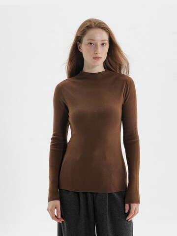 TorWeit Pullover‌‌‌‌‌‌‌‌ in Braun