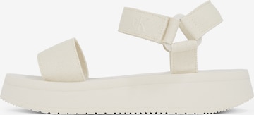 Calvin Klein Jeans Sandale in Grau: Vorderseite