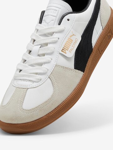 PUMA Sneaker 'Palermo' in Weiß