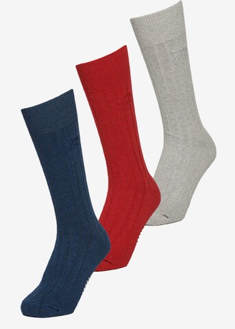 Chaussettes Superdry en mélange de couleurs : devant