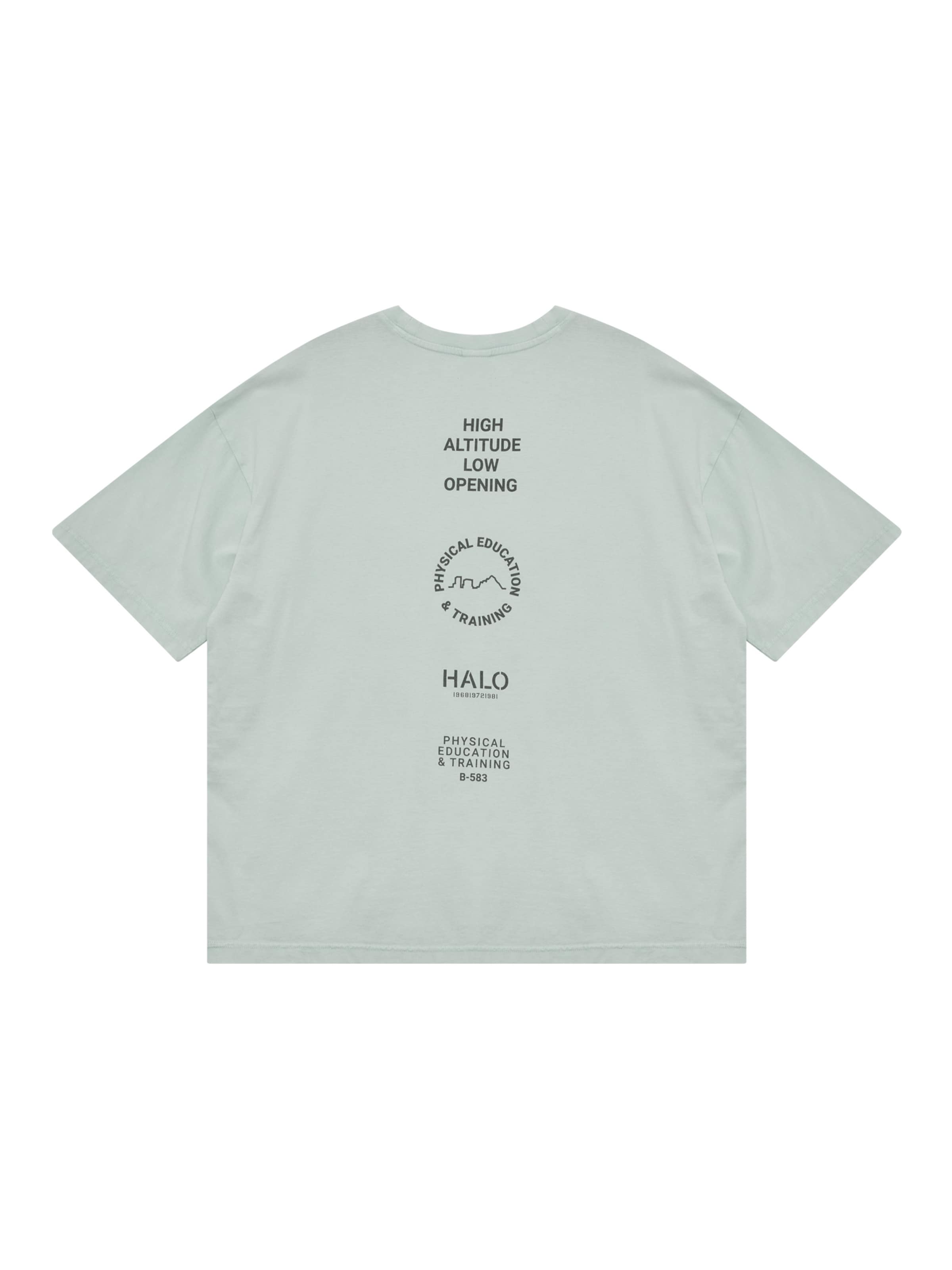 HALO Shirt in Groen