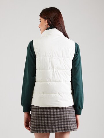 GAP Bodywarmer in Beige