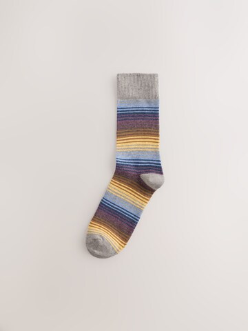 Next Socks in Mixed colours