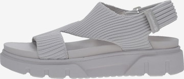 Sandalo 'Sandalo Timberland' di TIMBERLAND in grigio: frontale