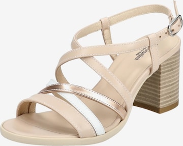 Nero Giardini Sandalen met riem in Beige: voorkant