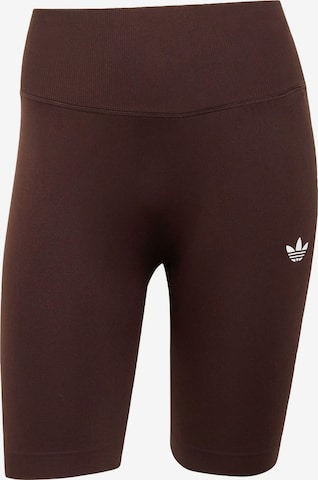 ADIDAS ORIGINALS Skinny Shorts 'ESSENTIALS' in Braun: Vorderseite