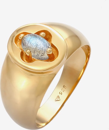 ELLI PREMIUM Ring Siegelring in Gold: predná strana