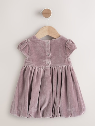 Set di Next in lilla